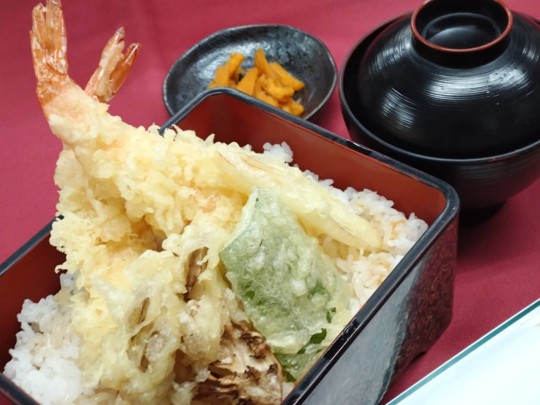 ヒレカツと野菜フライ