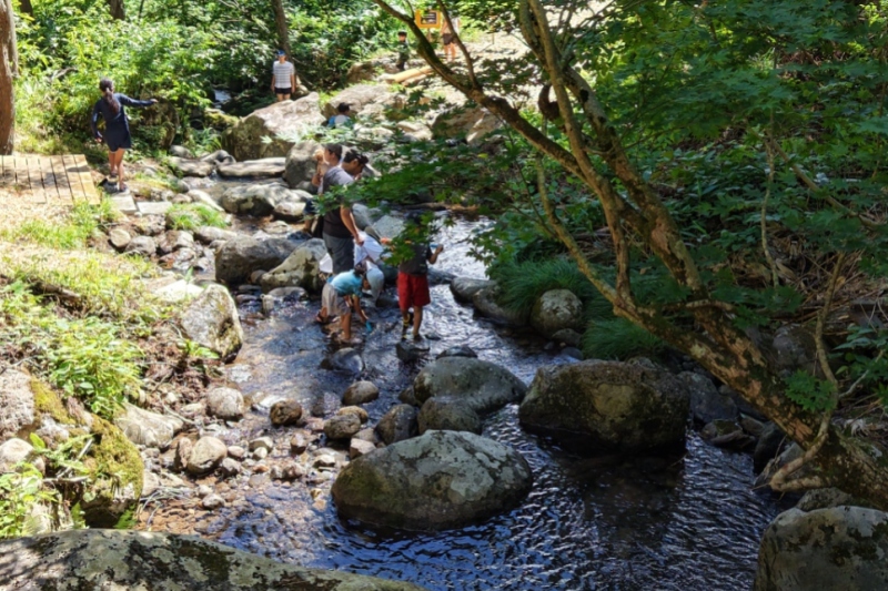 夏はやっぱり川遊びがおすすめ！